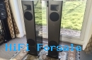 Martin Logan Motion F20